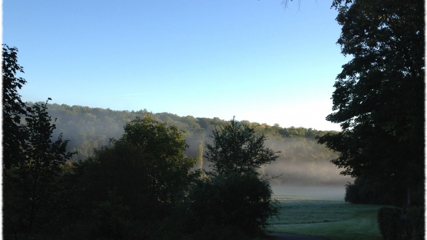 Frühnebel am Bandtälesweg